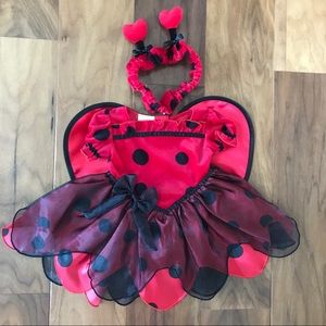 NWT ~ 🐞 Ladybug Costume
